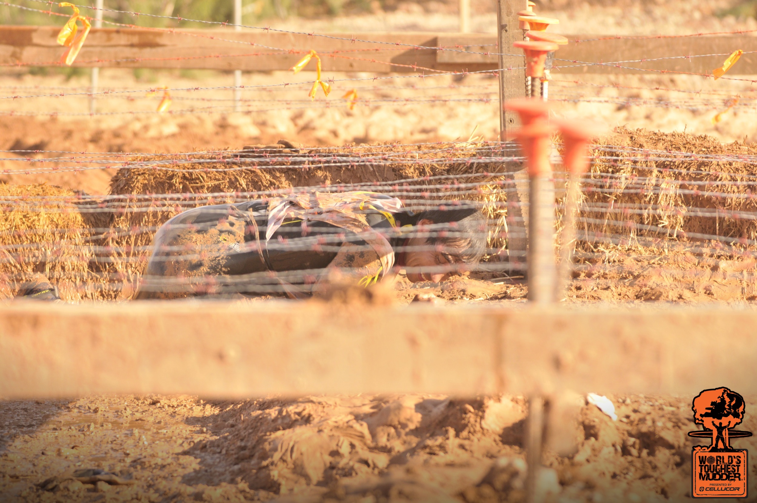 race_1569_photo_28725348