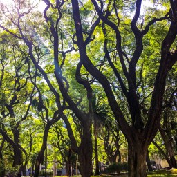 10 Books & 5 Essays to Read Before 30