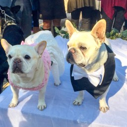 The Millennial Marriage Manifesto