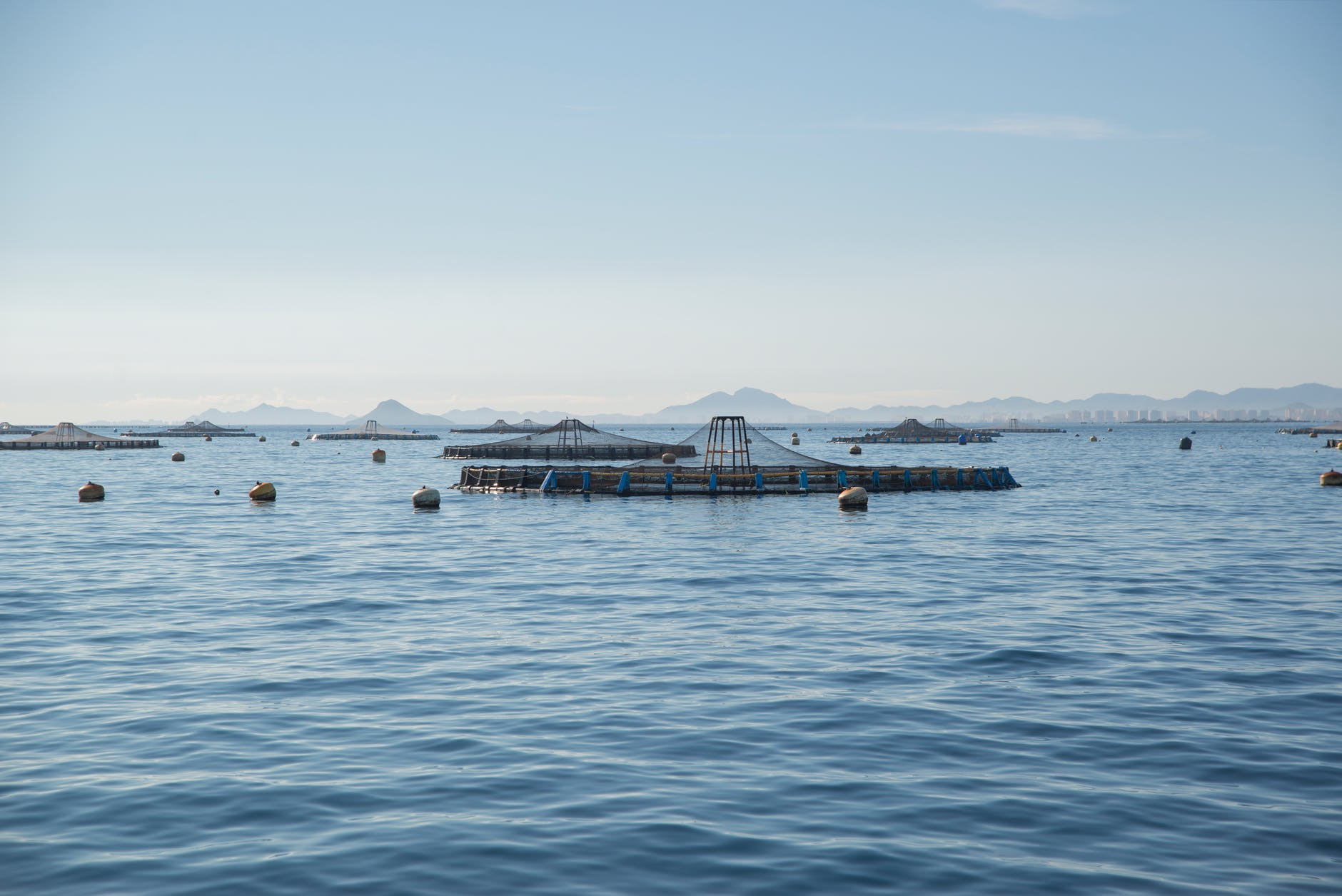 a fish farm in a blue sea under a blue sky